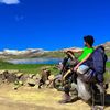 travelprincenaveed