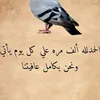 afafalnsr