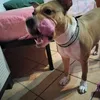 alfonsina.tuoro
