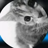 jlzxx.8