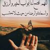user2959747726362