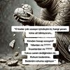 allahtekdir59