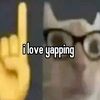 ielldnn