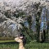 lea.quynh