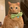 potatowilltakeover
