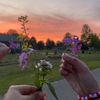 lamay_6993