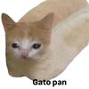 pablowaza1