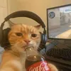 its_jordan_bradford