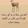 rafiqrimakeddar