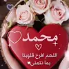 mohamedmazouz8495