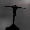 foultarnished8789