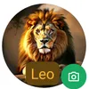 leo.miranda618