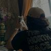 animal welfare organization