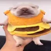 guzence