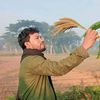 yasin.ahmed5737