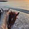 ghader_10