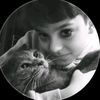 yaazalp.ztrk