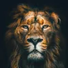 Fé&Motivação
