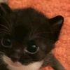 jemimah.acua