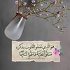 user2838426859905