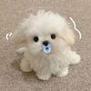 sweetty.chel
