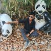 md.mamun.12347