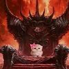miau_miau24