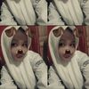 neyyy_2009
