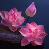 tuyen.l7