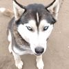 sharon.michaels8
