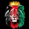 kinghabibi_afg_19