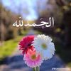 user4468759861552