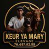 keur ya mary élevage 🇸🇳 🙏🏼