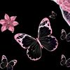 fasalin02