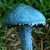 userqatet2