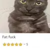 jesseweneedtocook84