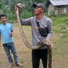 bang.wagiri0