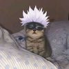 player_roblox24012014