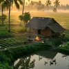thanh.vo.hoang0