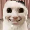 fffquynh