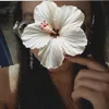 l4ur3ssa_1083