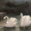 nada.majdi1