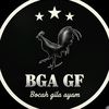 bocah.gila.ayam