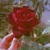 user5034735