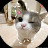softie960_ivy