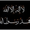user4223908743684