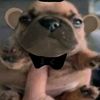 el_puchis5