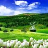 omar.satif4