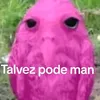 tdijhovauy