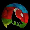 bozkurd.085